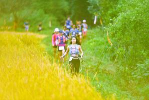 BIB: 
                            <button type="button" onclick="openModal(13455740)" class="btn btn-primary btn-sm float-right btn-popup" data-toggle="modal" data-target=".modal-high-quality">
                        <i class="fas fa-shopping-cart"></i> Add to Cart
                    </button>
                                            <button type="button" onclick="isThisMe(13455740, true)" class="btn btn-success btn-sm float-right btn-popup btn-isme hidden" data-toggle="tooltip" data-placement="bottom" title="นี่คือรูปของคุณใช่ไหม คลิกที่นี่เพื่อเอาเข้าอัลบั้ม">
                        <i class="fas fa-plus"></i> Add to album
                    </button>
                    <button type="button" onclick="isThisMe(13455740, false)" class="btn btn-warning btn-sm float-right btn-popup btn-isnotme hidden">
                        <i class="fas fa-ban"></i> Remove from album
                    </button>